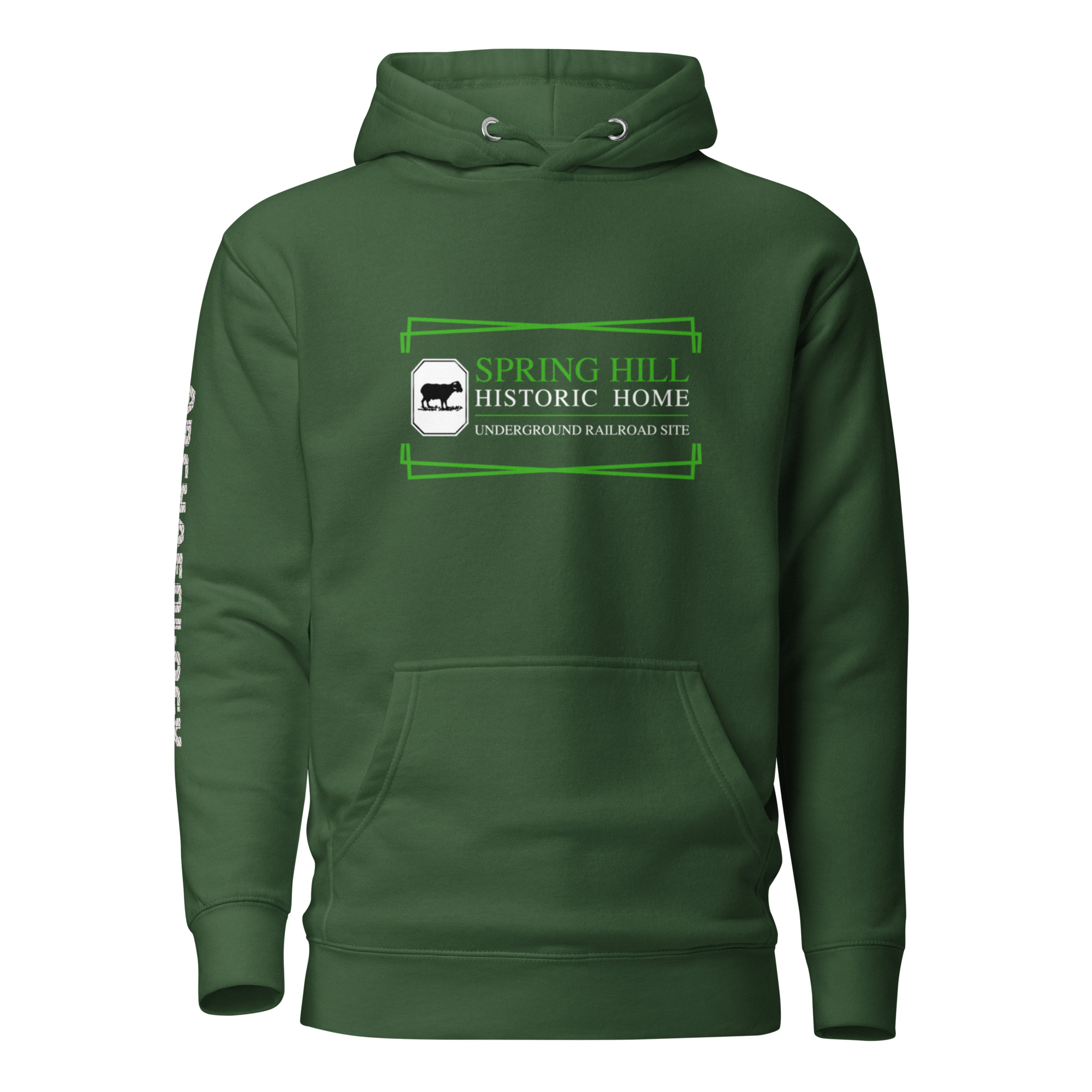 Spring Hill Archaeology Unisex Hoodie - Image 3